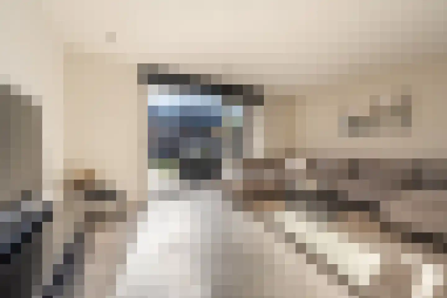 Cor Dirksestraat 7 Mijnsheerenland thumbnail 5