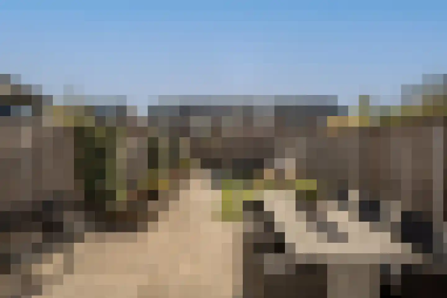 Cor Dirksestraat 7 Mijnsheerenland thumbnail 6