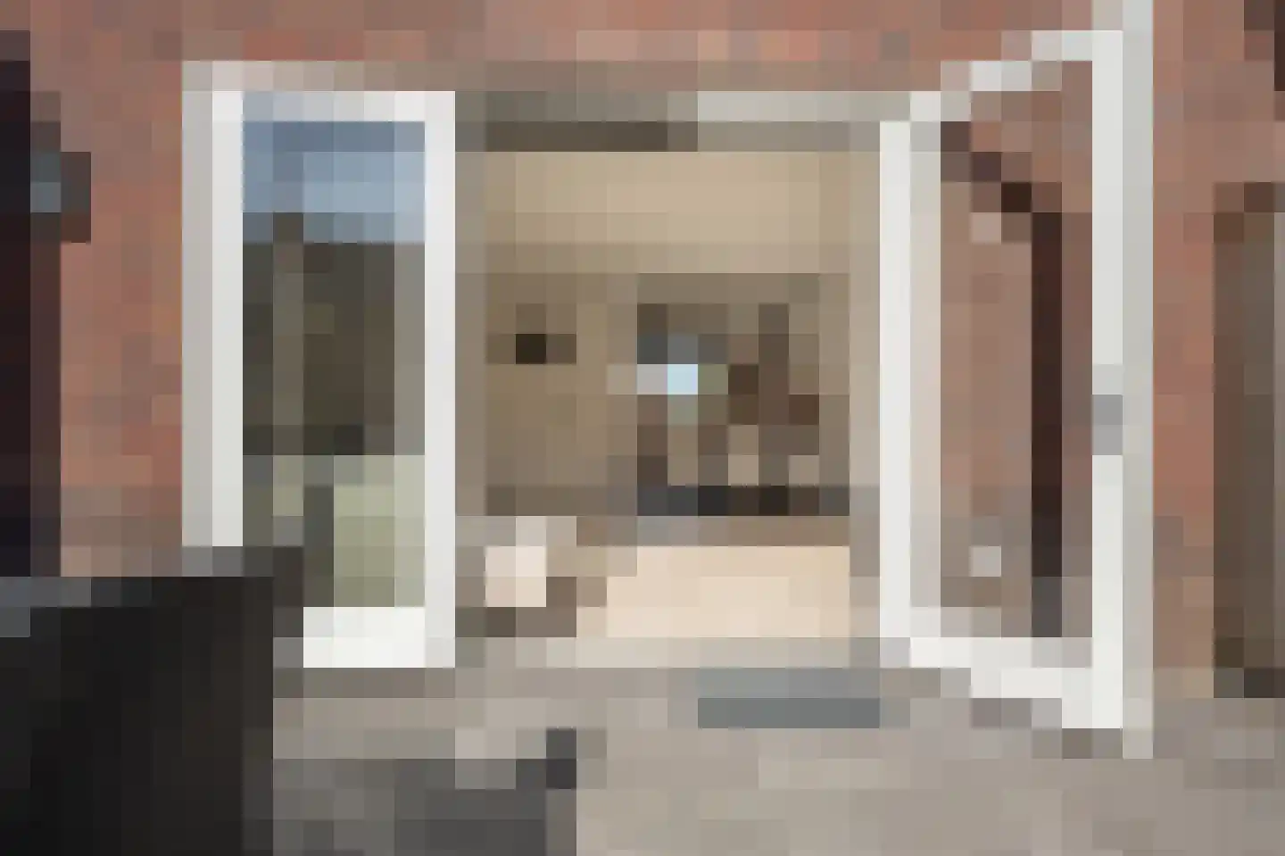 Cor Dirksestraat 7 Mijnsheerenland thumbnail 8