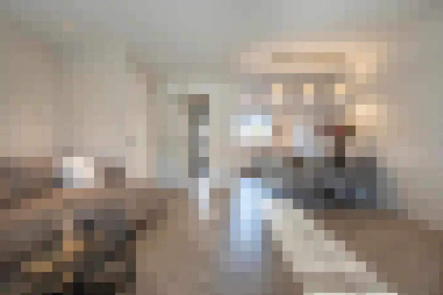 Cor Dirksestraat 7 Mijnsheerenland thumbnail 9