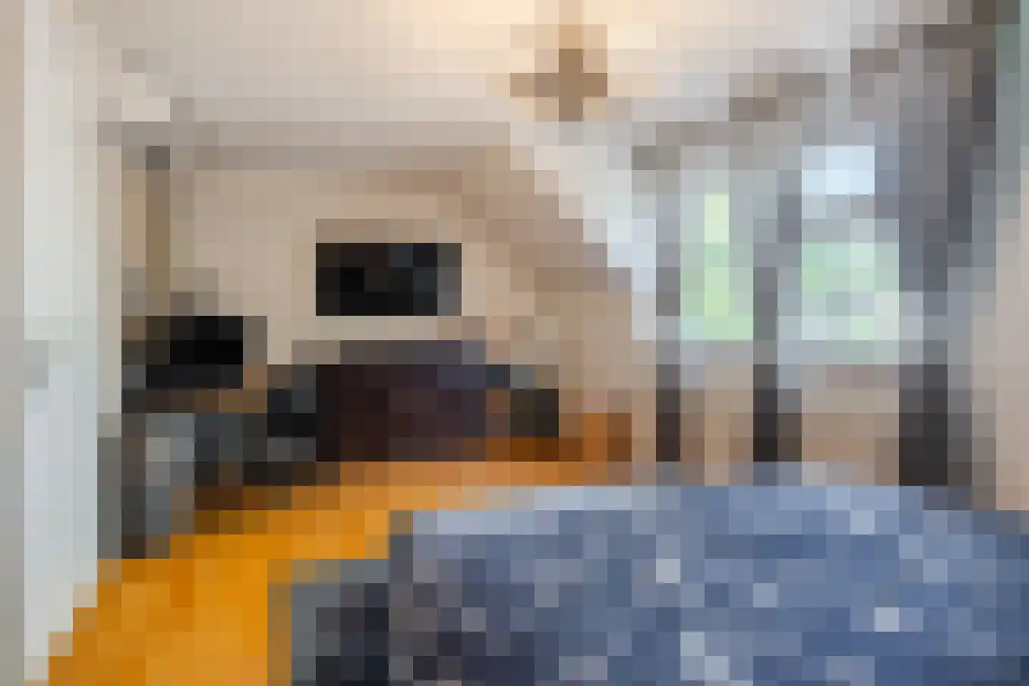 Cor Gehrelslaan 44 Eindhoven thumbnail 17