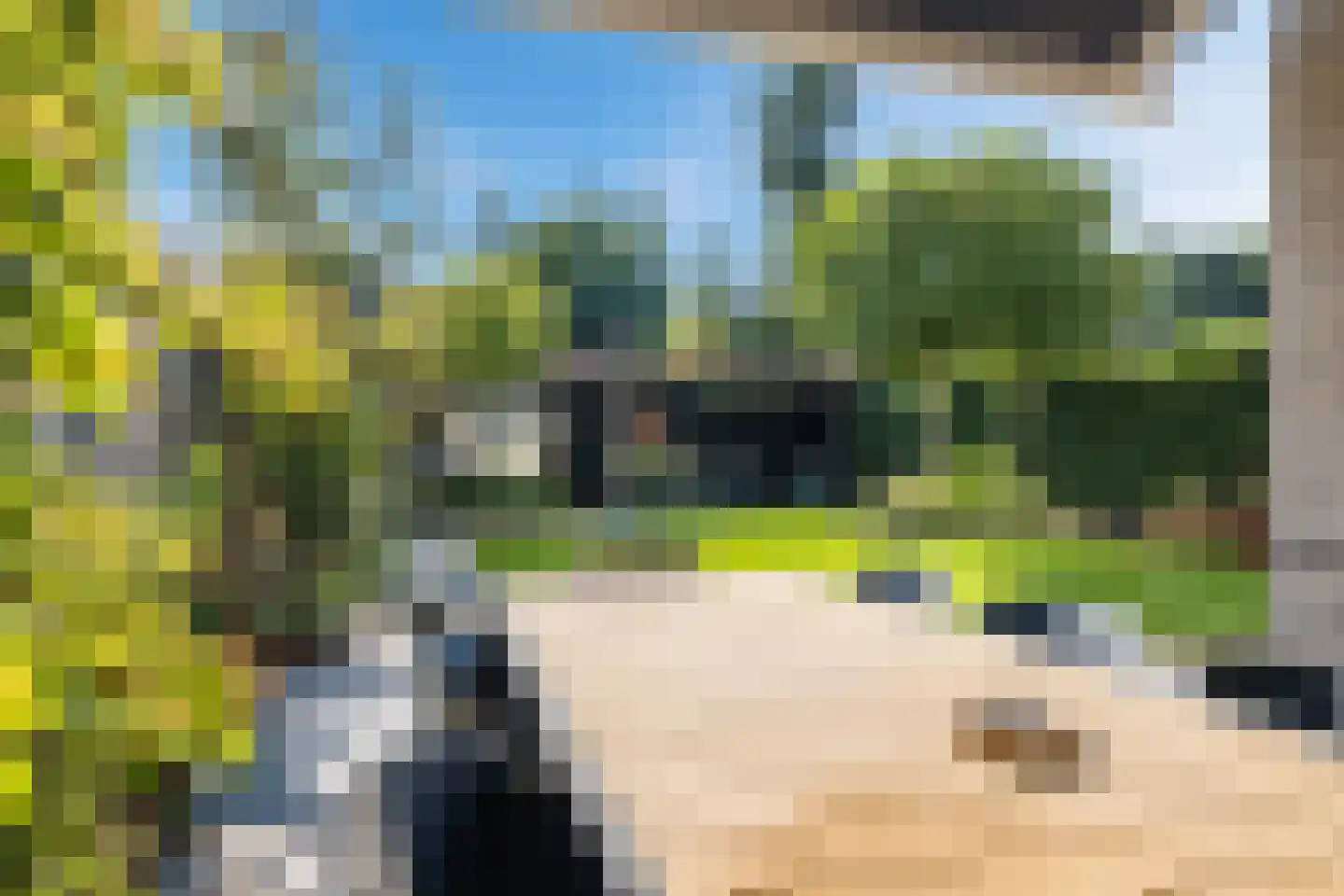 Cor Gehrelslaan 44 Eindhoven thumbnail 34