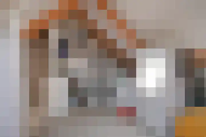 Cor Gehrelslaan 50 Eindhoven thumbnail 32