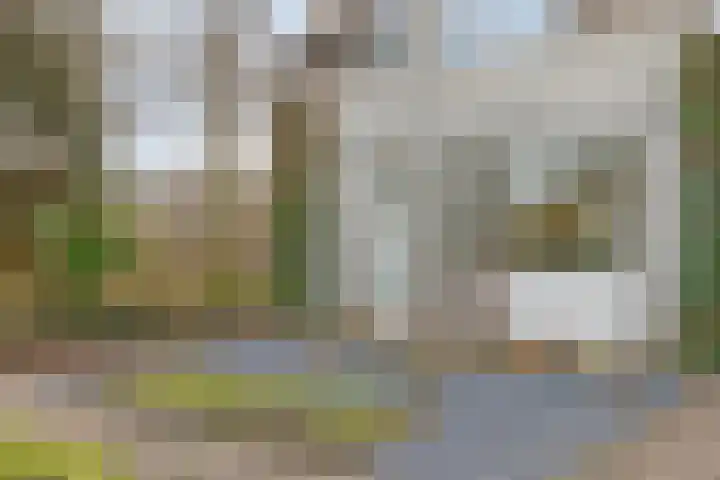 Cor Gehrelslaan 50 Eindhoven thumbnail 36