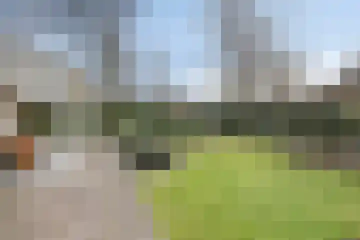 Cor Gehrelslaan 50 Eindhoven thumbnail 37