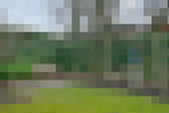 Cor Gehrelslaan 50 Eindhoven thumbnail 41