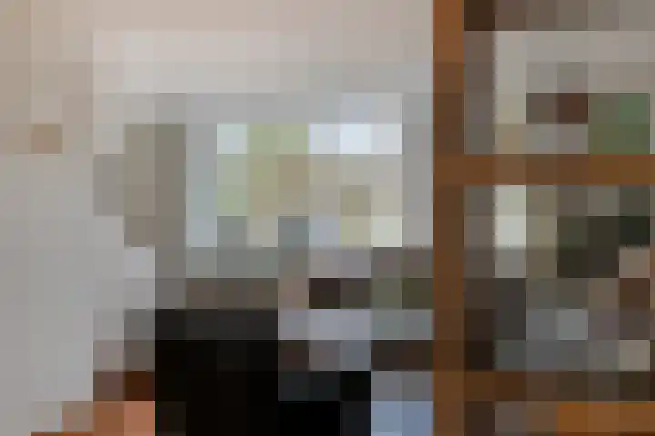 Cor Gehrelslaan 50 Eindhoven thumbnail 7
