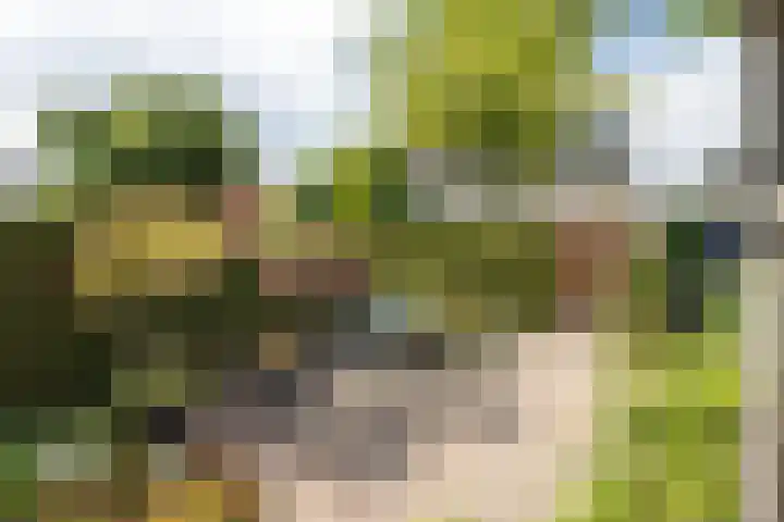 Cor Hilbrinkstraat 29 Borne thumbnail 22