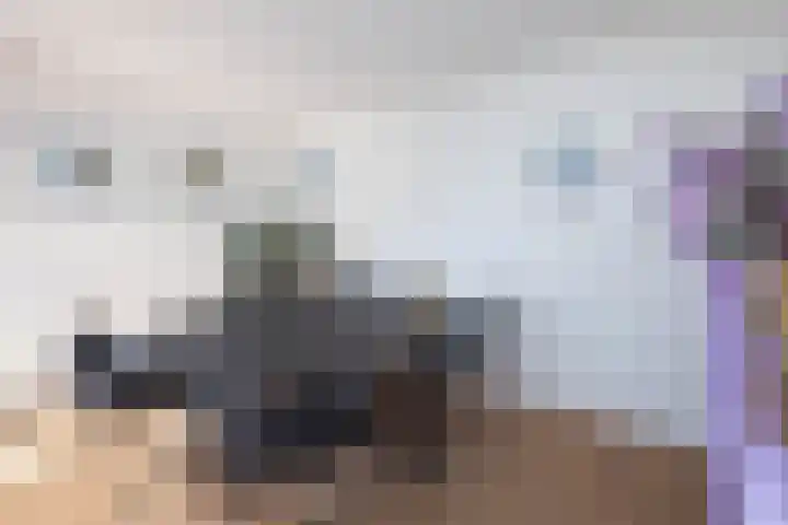 Cor Hilbrinkstraat 29 Borne thumbnail 9