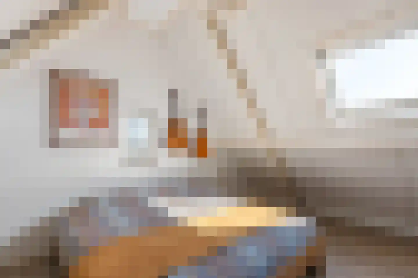 Cor Hilbrinkstraat 44 Borne thumbnail 16