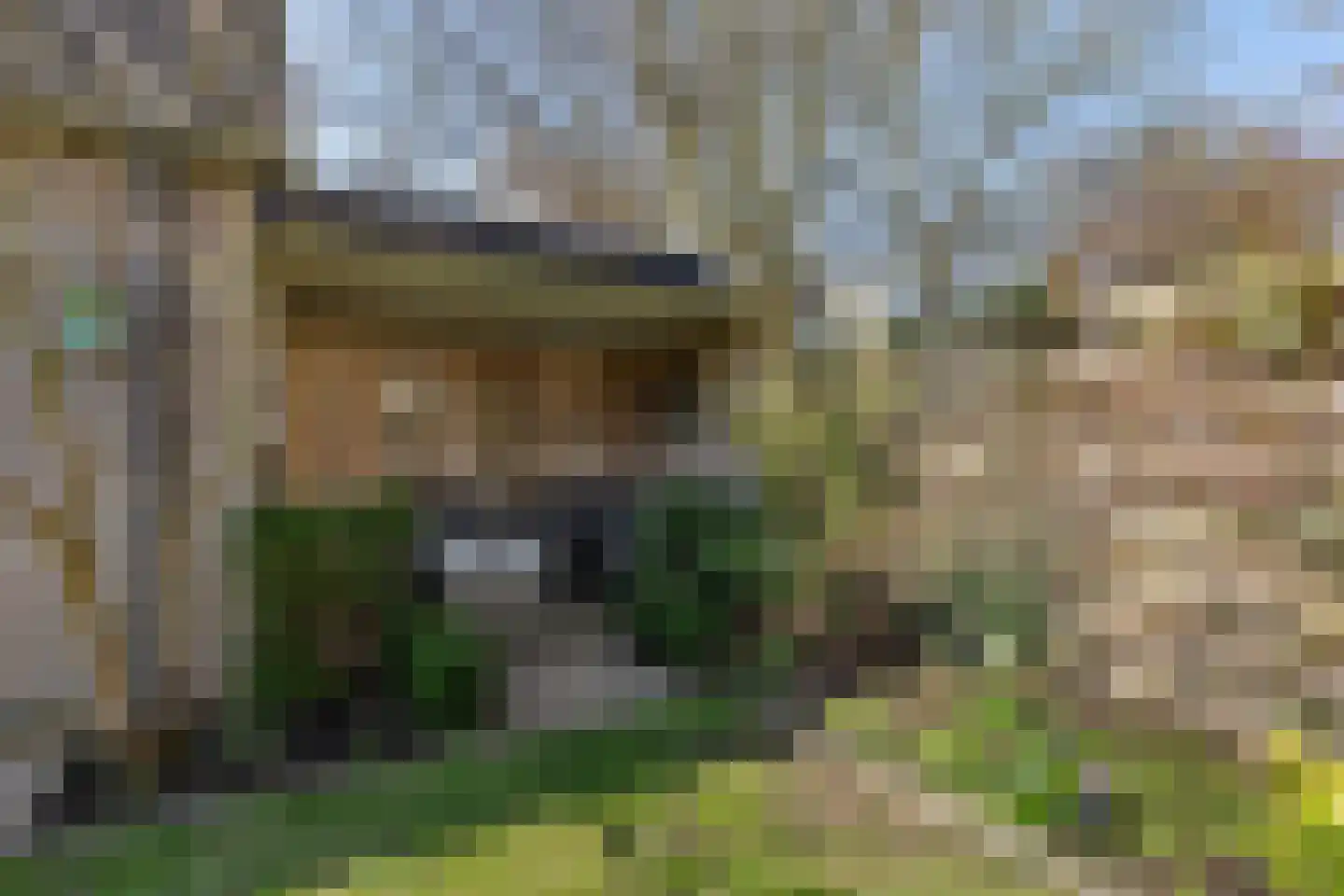 Cor Hilbrinkstraat 44 Borne thumbnail 20