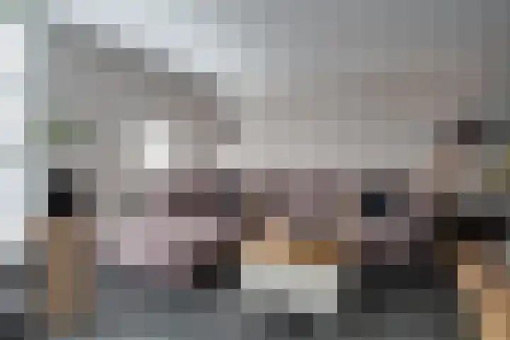 Cor Janssenstraat 11 Reuver thumbnail 7