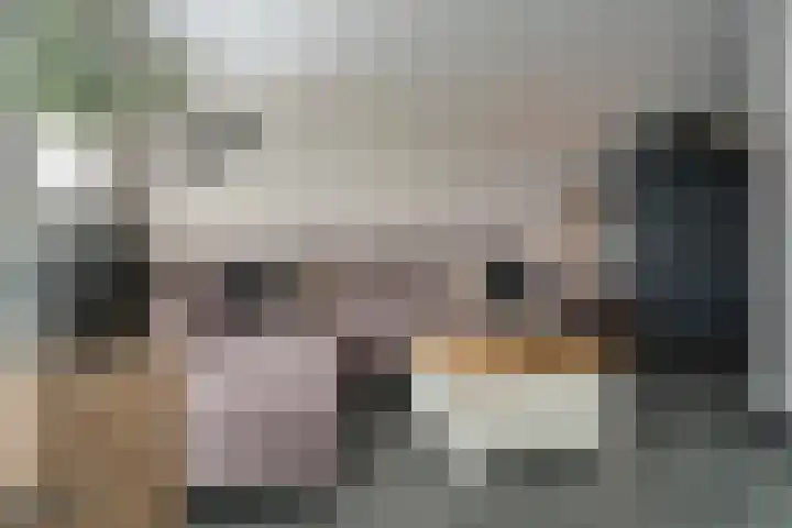 Cor Janssenstraat 11 Reuver thumbnail 8