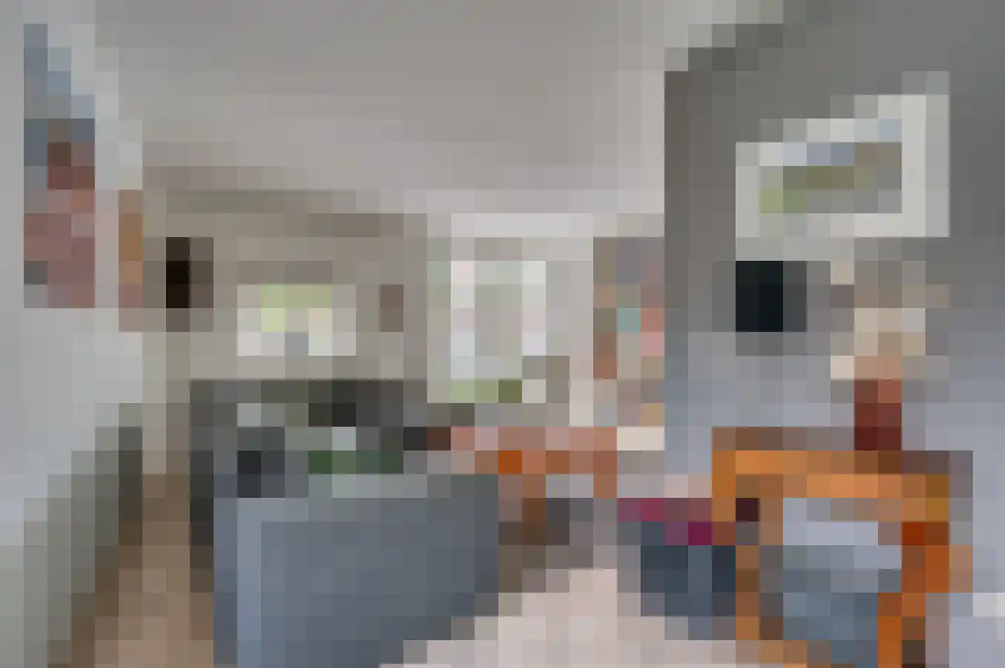 Cor Janssenstraat 29 Reuver thumbnail 10
