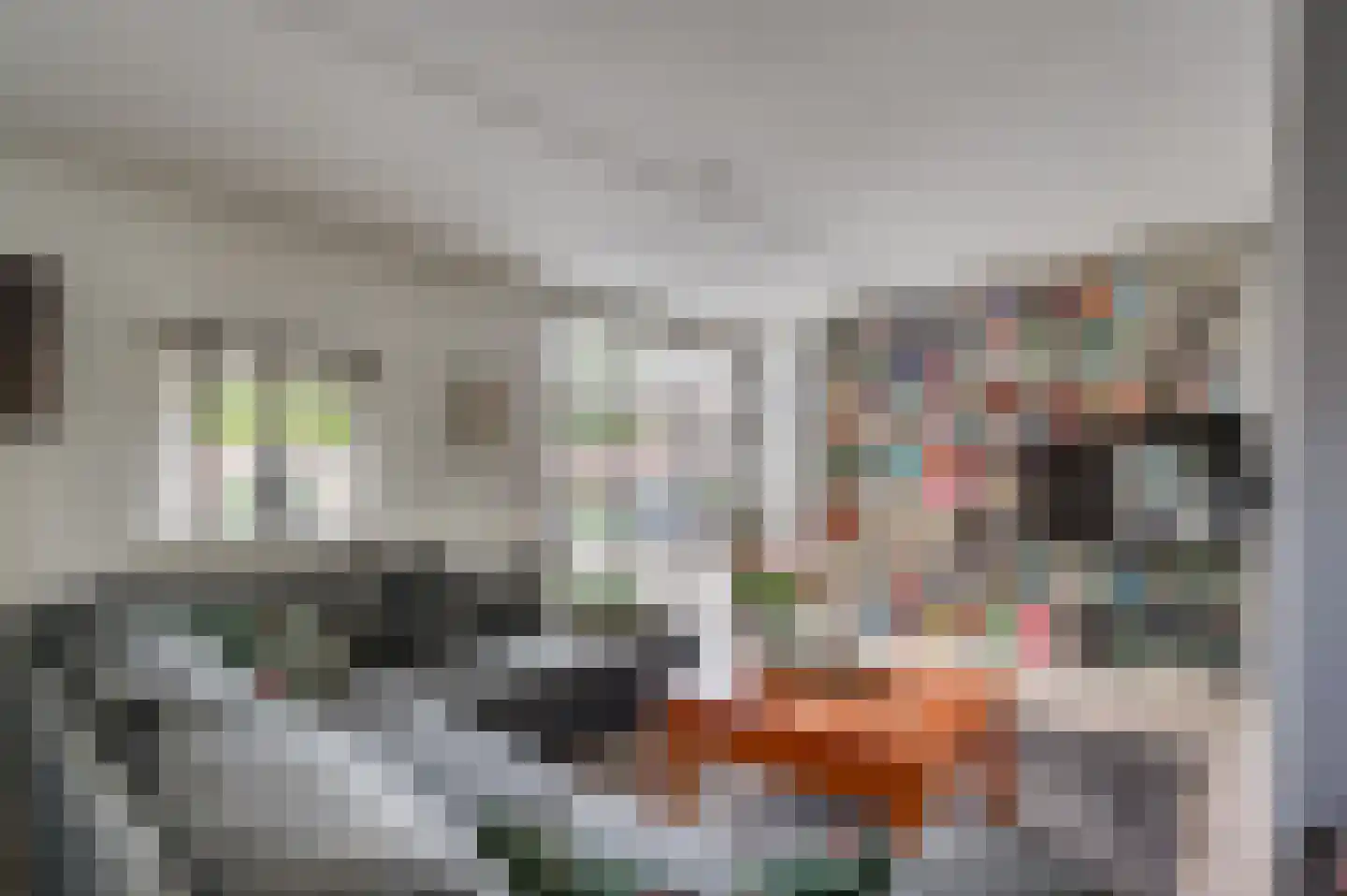 Cor Janssenstraat 29 Reuver thumbnail 11