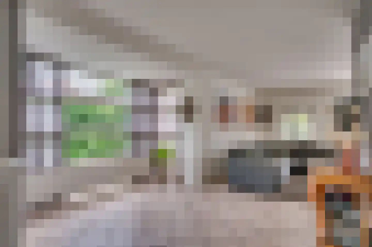 Cor Janssenstraat 29 Reuver thumbnail 27