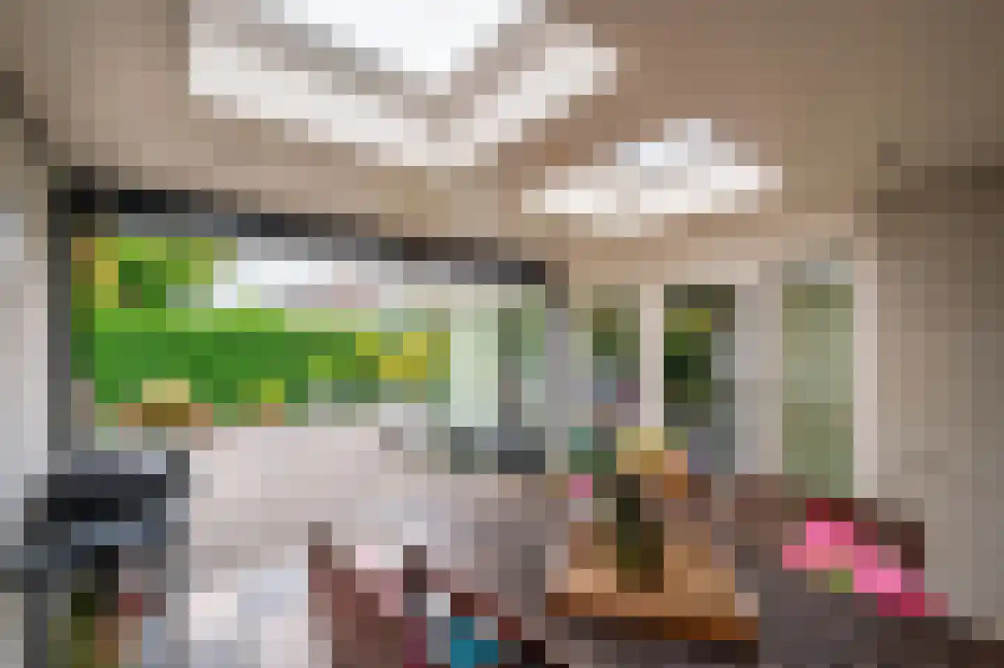 Cor Janssenstraat 29 Reuver thumbnail 43