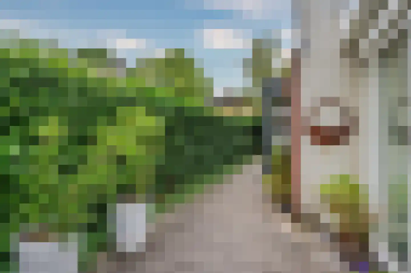 Cor Janssenstraat 29 Reuver thumbnail 51