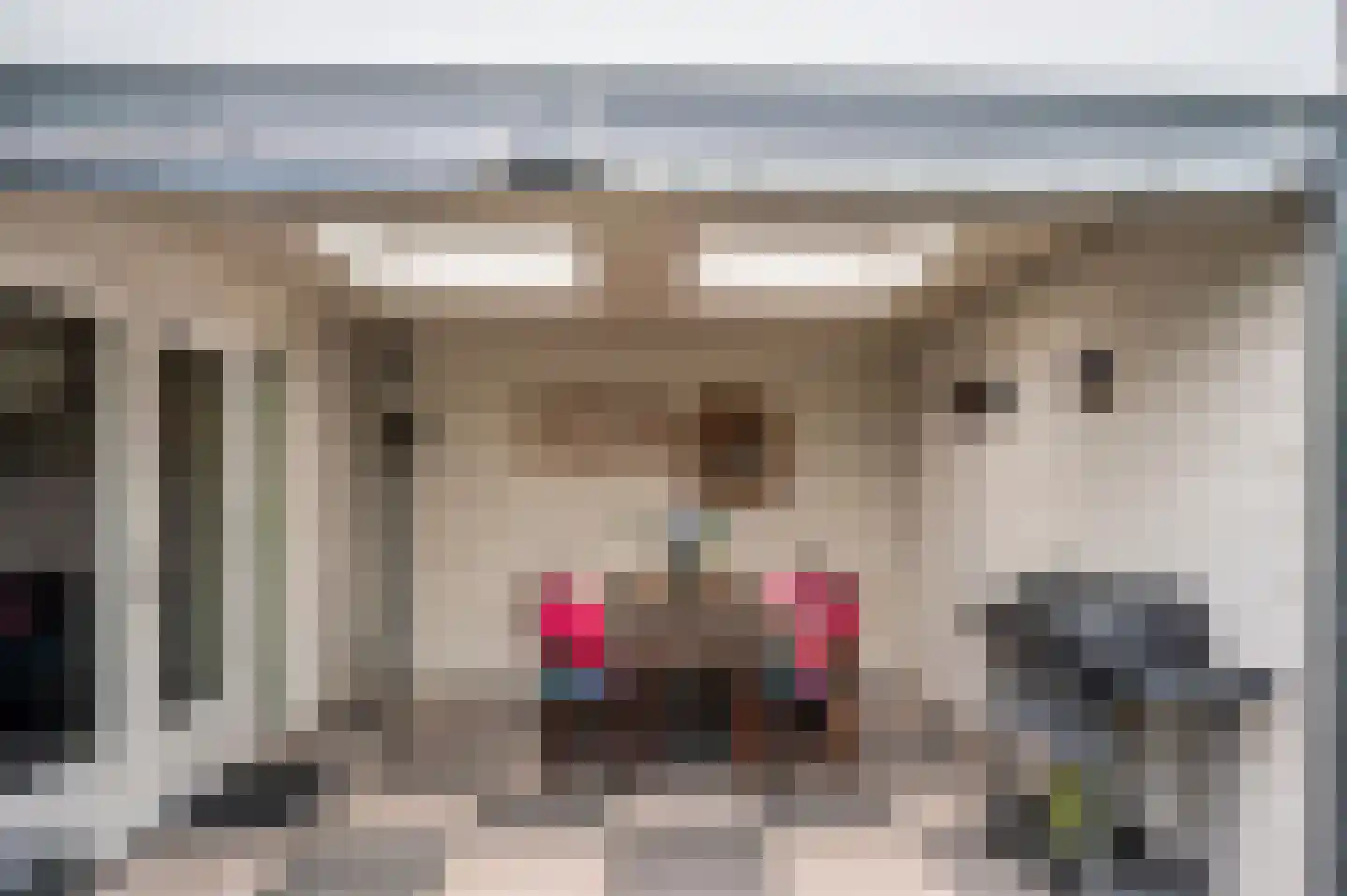 Cor Janssenstraat 29 Reuver thumbnail 56