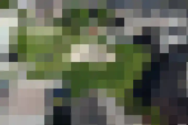 Cor Keestraat 10 Bunschoten-Spakenburg thumbnail 4