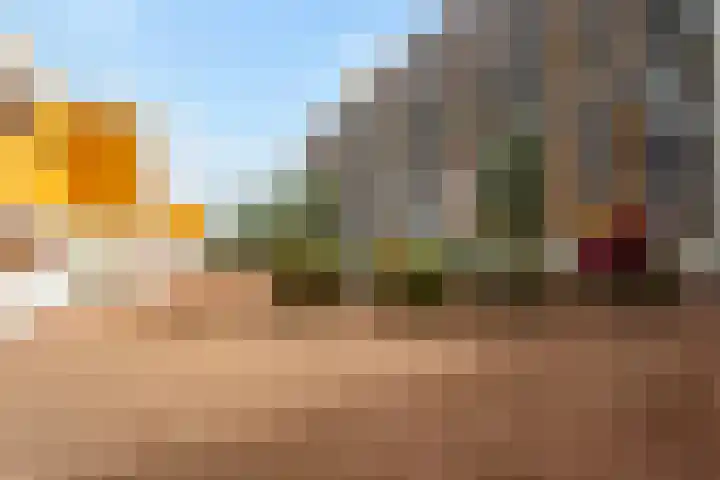 Cor Kieboomplein 184 Rotterdam thumbnail 19