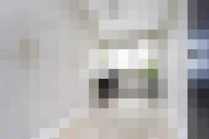 Cor Kieboomplein 212 Rotterdam thumbnail 13