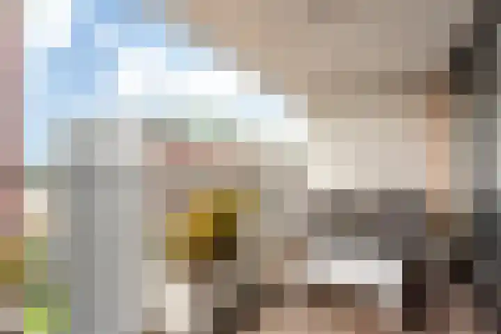 Cor Kieboomplein 212 Rotterdam thumbnail 18