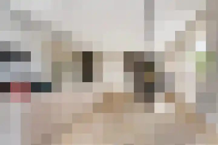 Cor Kieboomplein 212 Rotterdam thumbnail 7