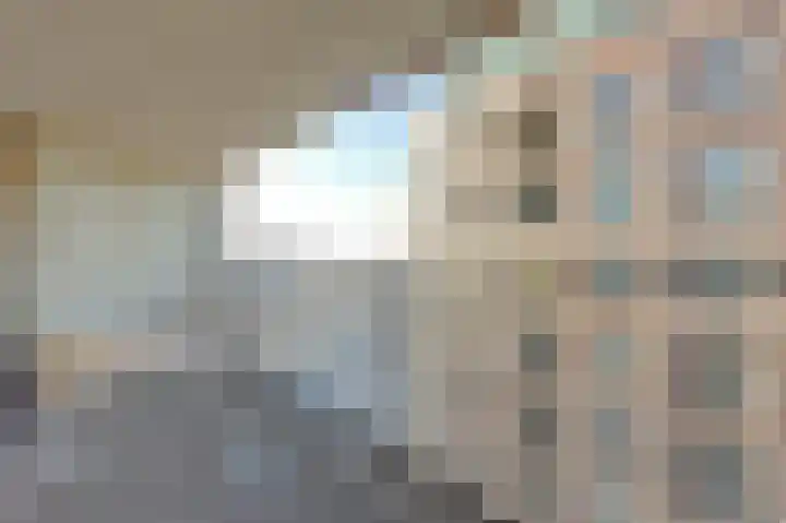 Cor Kieboomplein 214 Rotterdam thumbnail 12