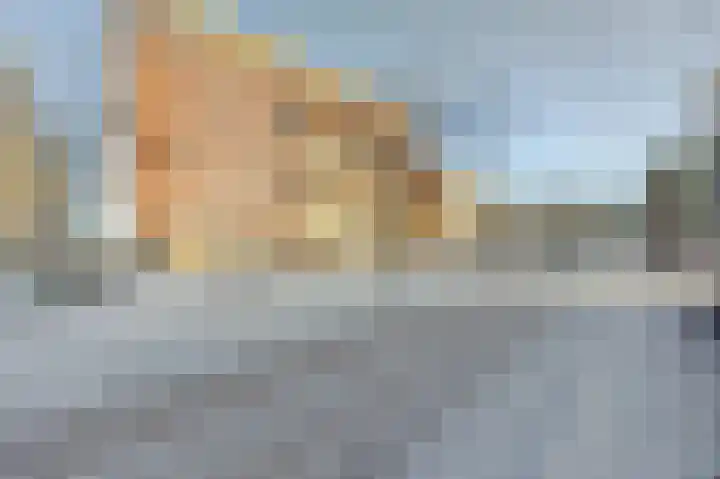 Cor Kieboomplein 214 Rotterdam thumbnail 27