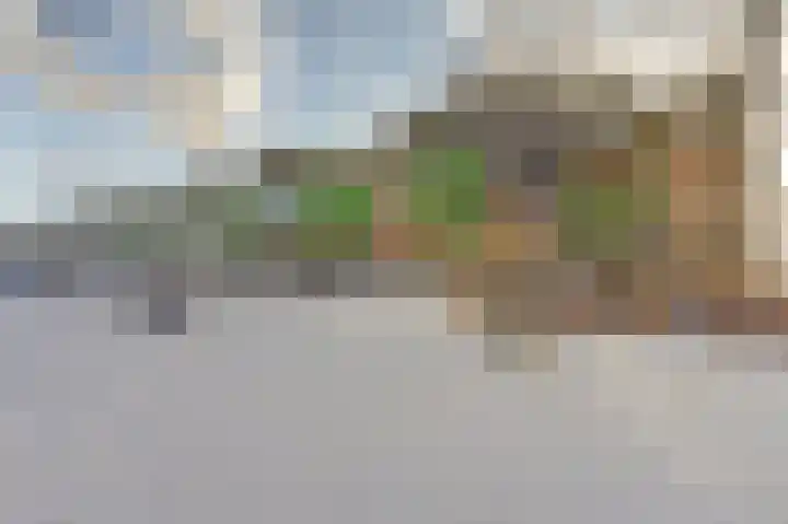 Cor Kieboomplein 214 Rotterdam thumbnail 29