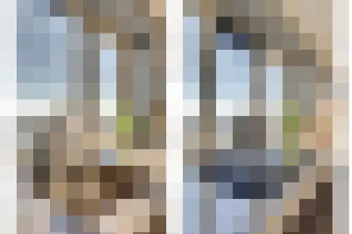 Cor Kieboomplein 214 Rotterdam thumbnail 4