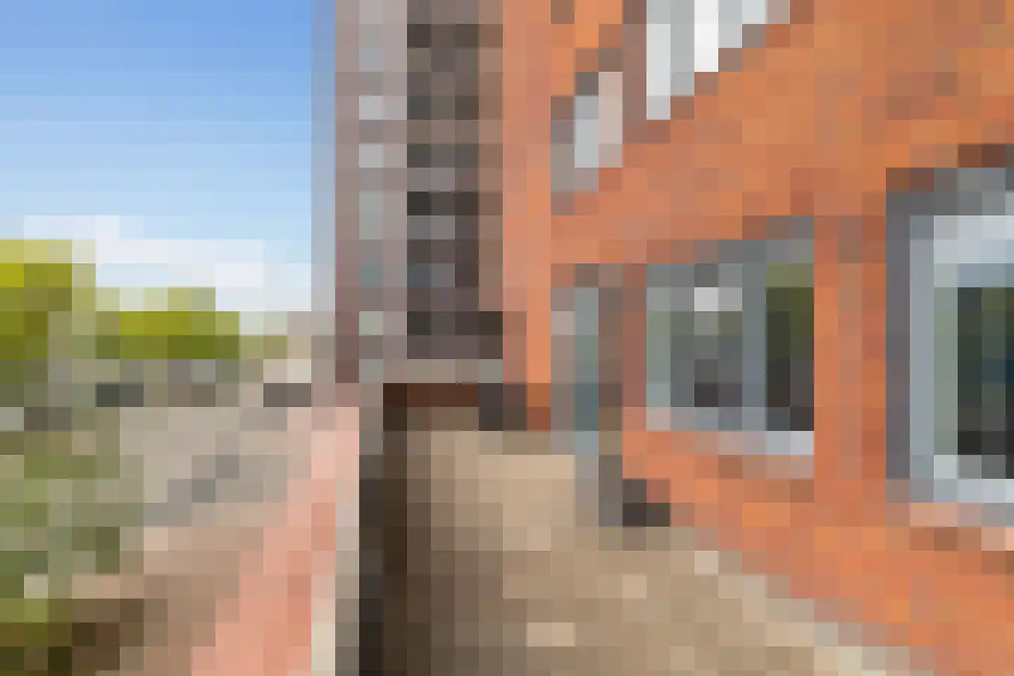 Cor Kieboomplein 217 Rotterdam thumbnail 21