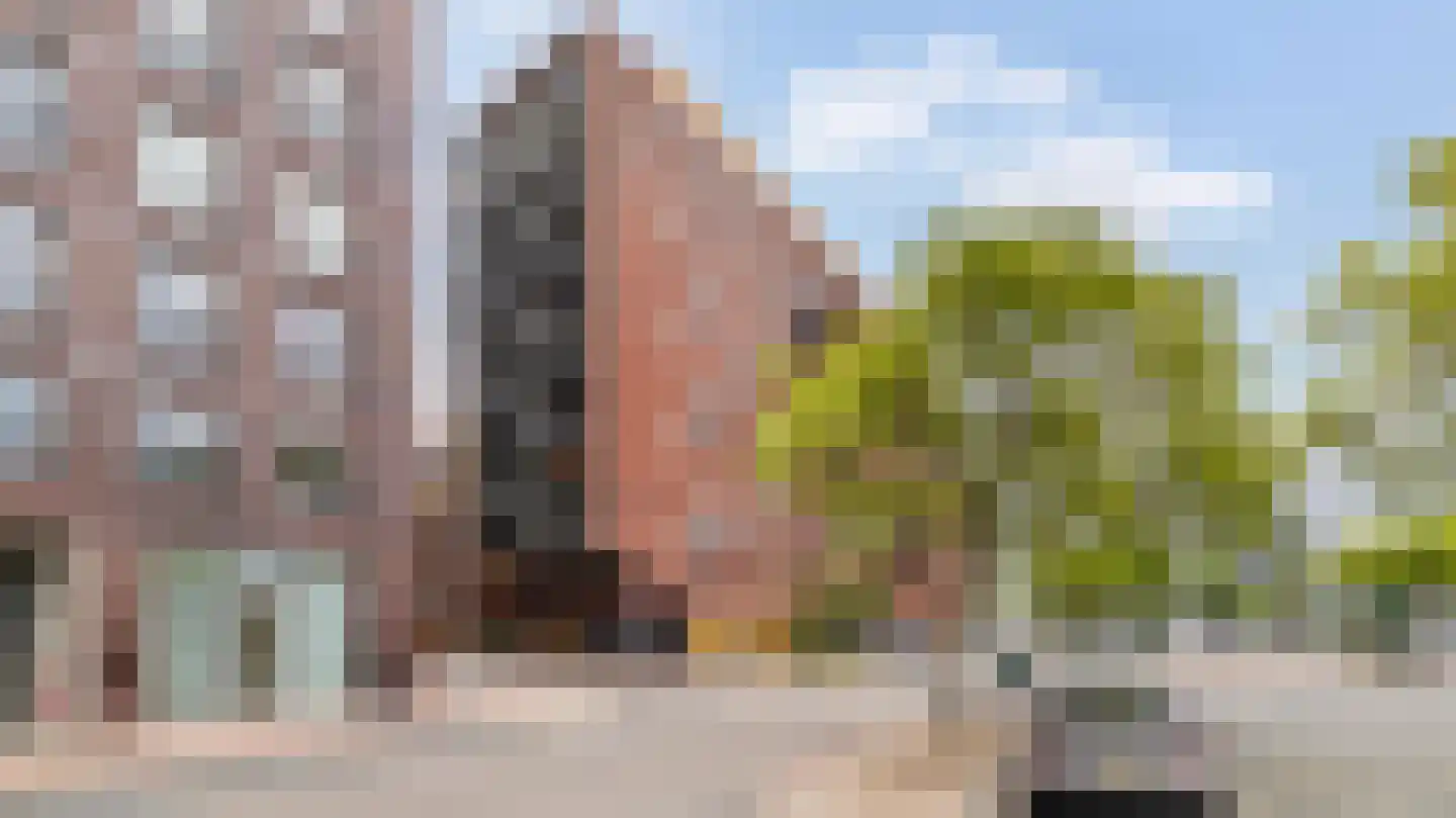 Cor Kieboomplein 217 Rotterdam thumbnail 23
