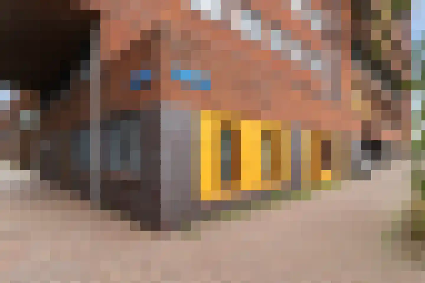 Cor Kieboomplein 217 Rotterdam thumbnail 24