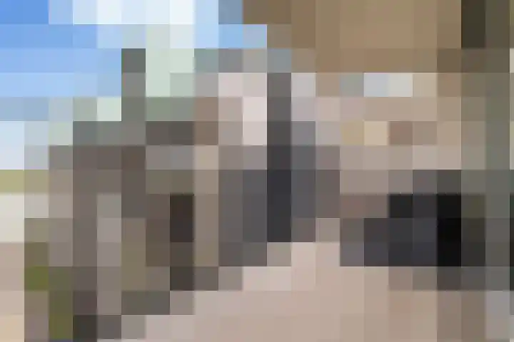 Cor Kieboomplein 248 Rotterdam thumbnail 17