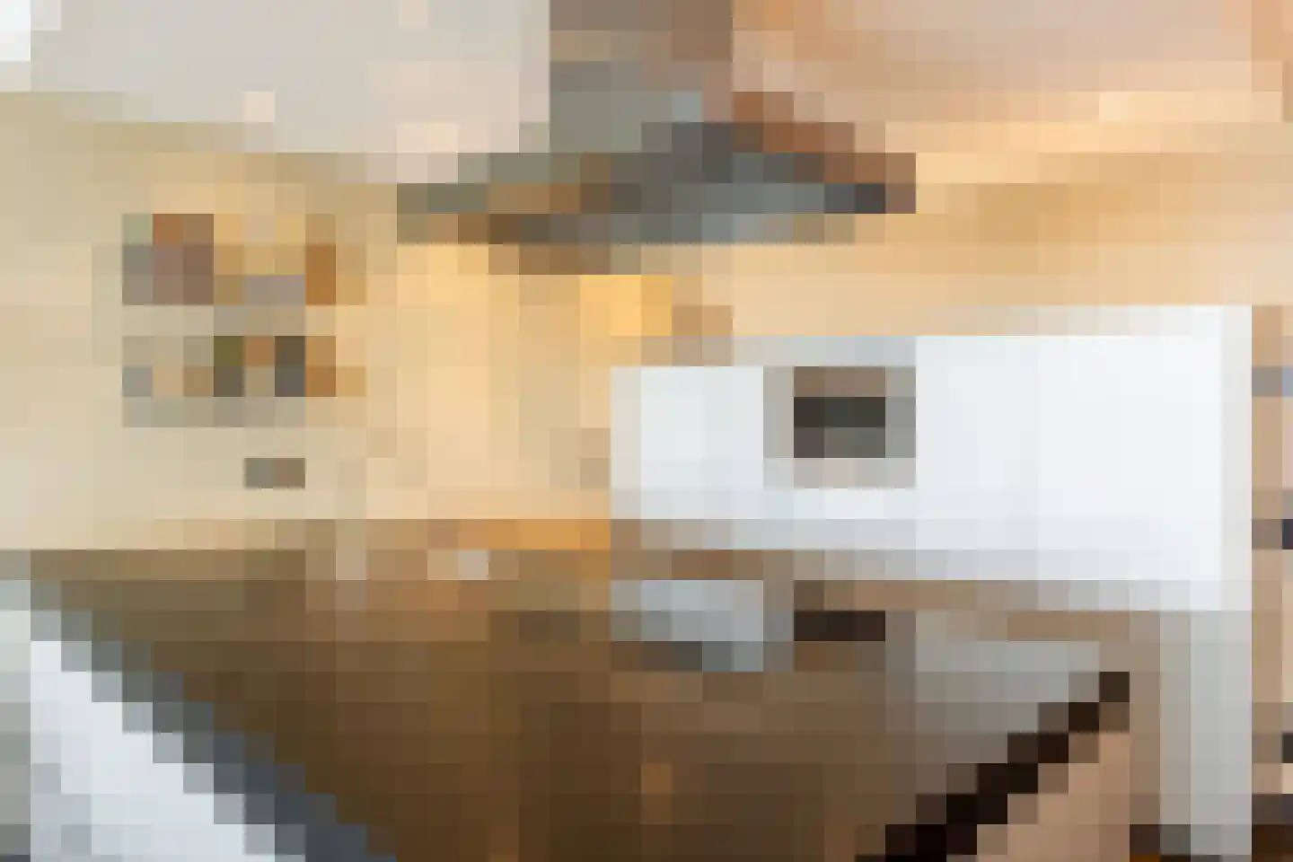 Cor Kieboomplein 300 Rotterdam thumbnail 10