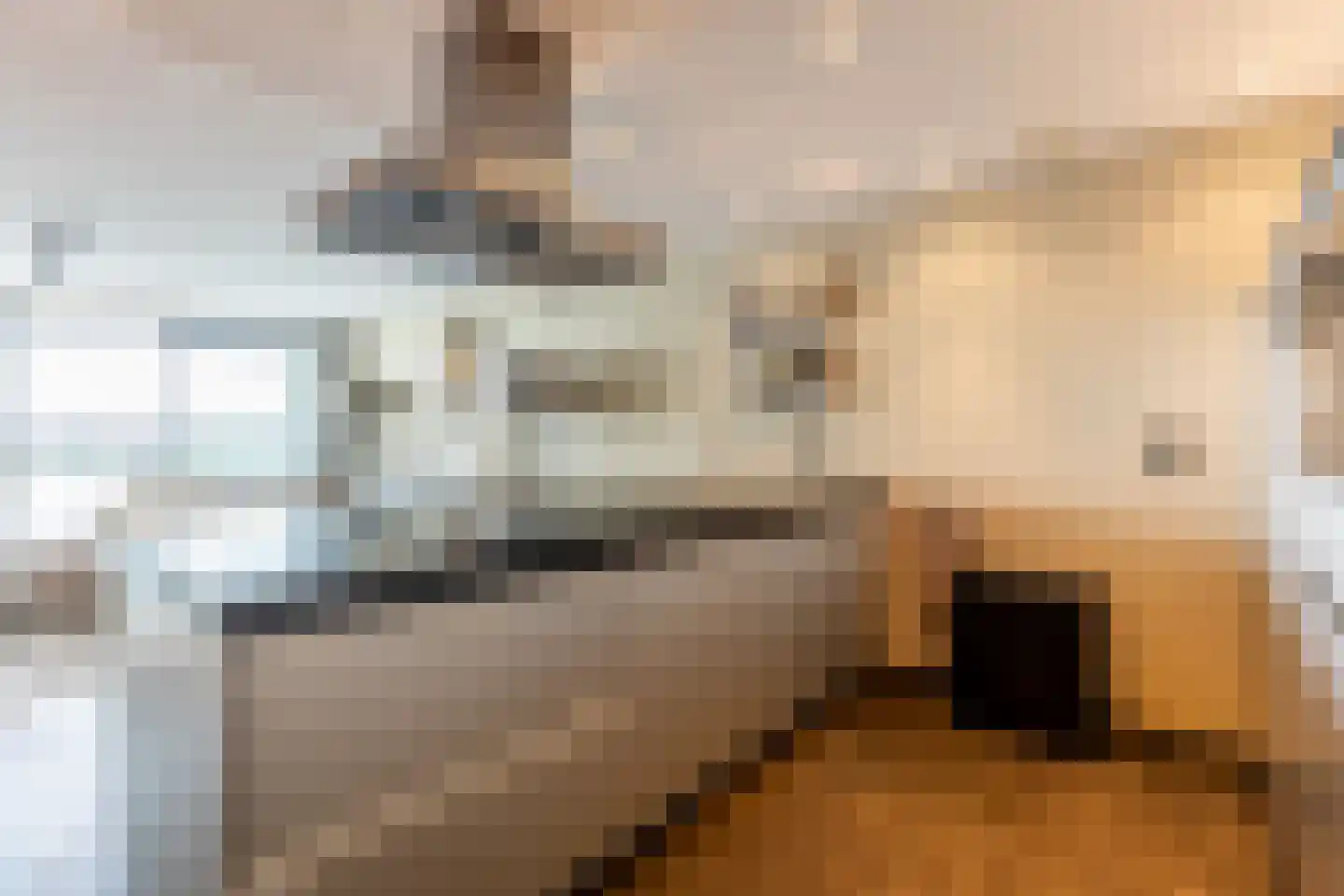 Cor Kieboomplein 300 Rotterdam thumbnail 11