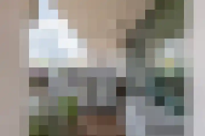 Cor Kieboomplein 305 Rotterdam thumbnail 32