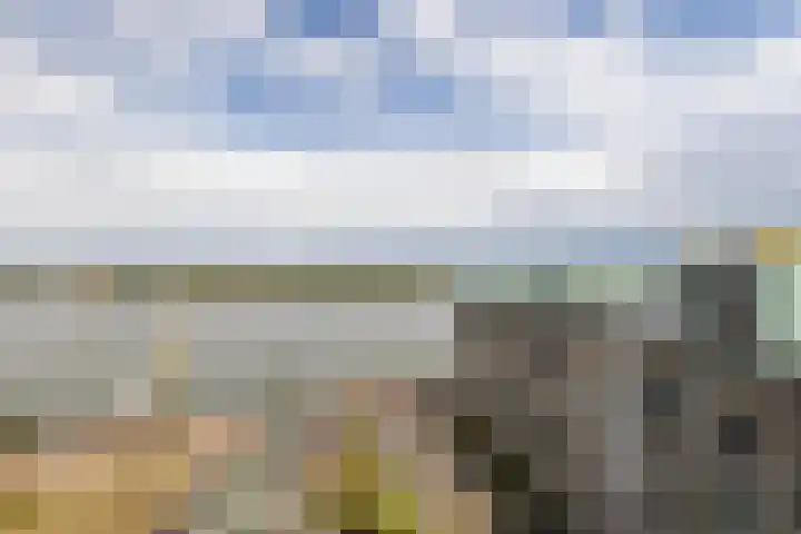 Cor Kieboomplein 305 Rotterdam thumbnail 33