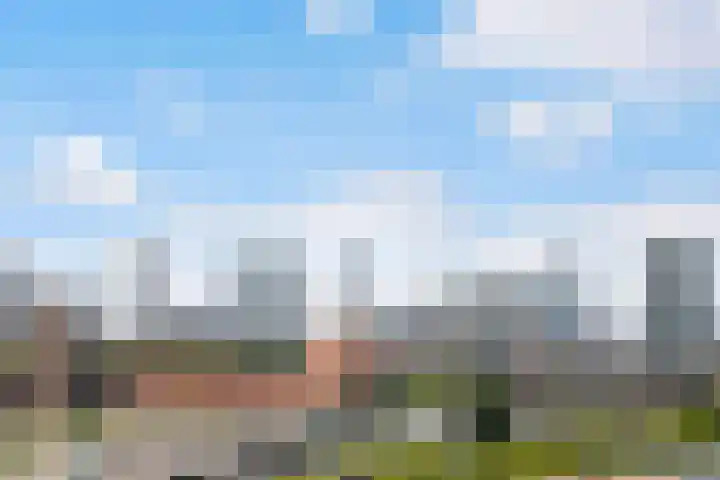 Cor Kieboomplein 311 Rotterdam thumbnail 17