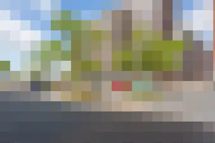 Cor Kieboomplein 311 Rotterdam thumbnail 21