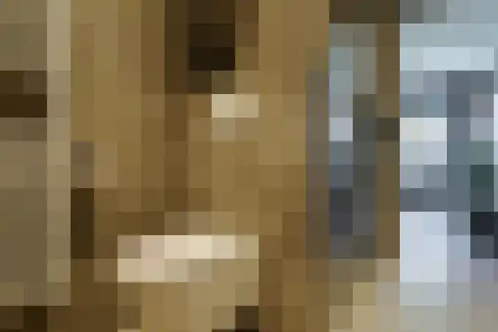Cor Lemairestraat 1 Hengelo thumbnail 21