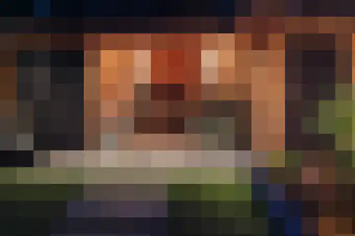 Cor Lemairestraat 1 Hengelo thumbnail 4