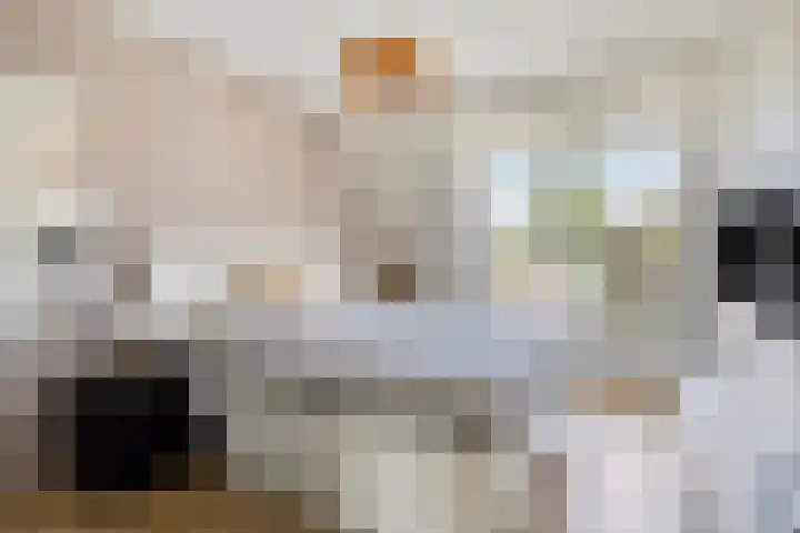 Cor Spaanslaan 24 Den Haag thumbnail 17