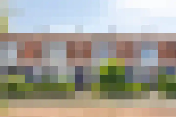 Cor Spaanslaan 24 Den Haag thumbnail 33