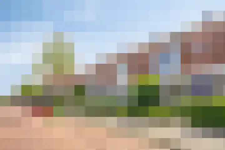 Cor Spaanslaan 24 Den Haag thumbnail 34