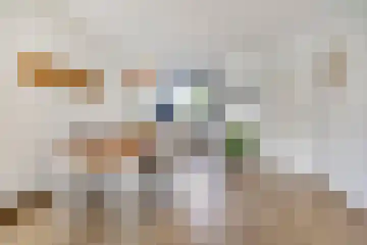 Cor Spaanslaan 24 Den Haag thumbnail 6
