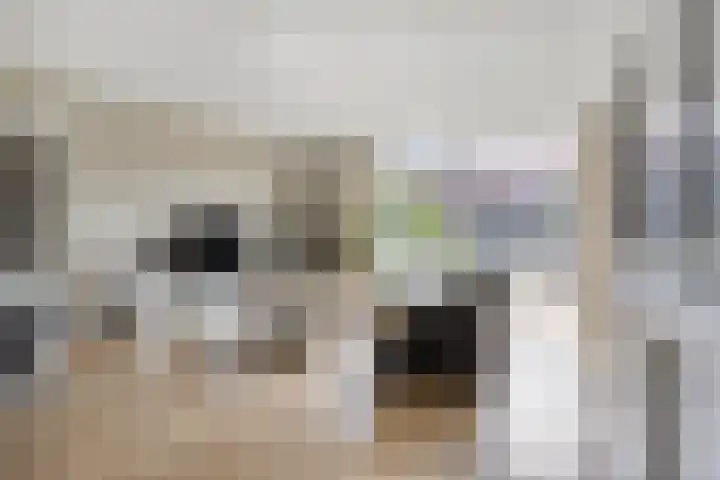Cor Spaanslaan 24 Den Haag thumbnail 9