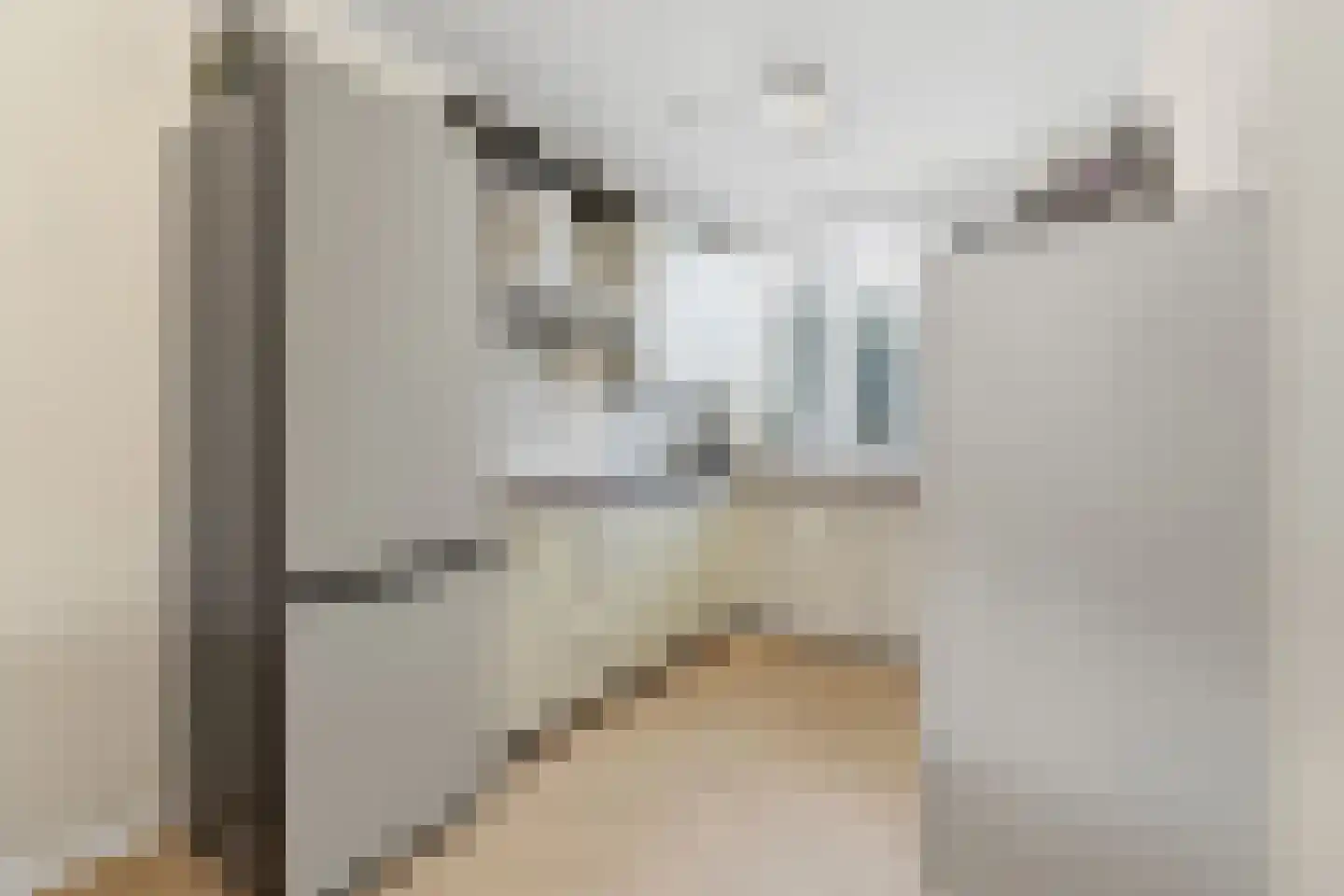 Cor Spaanslaan 66 Den Haag thumbnail 25